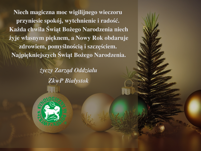 Kopia taki tam misz masz